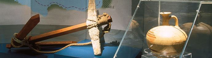 Il Viaggio dell'Olio e dell'Olivo